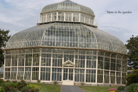 National Botanic Gardens, Glasnevin, Dublin