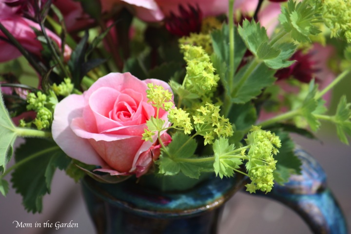 Rose pink in vase