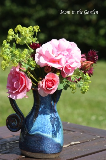 lucky to have a sunny day