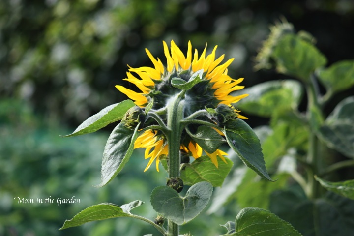 a different perspective