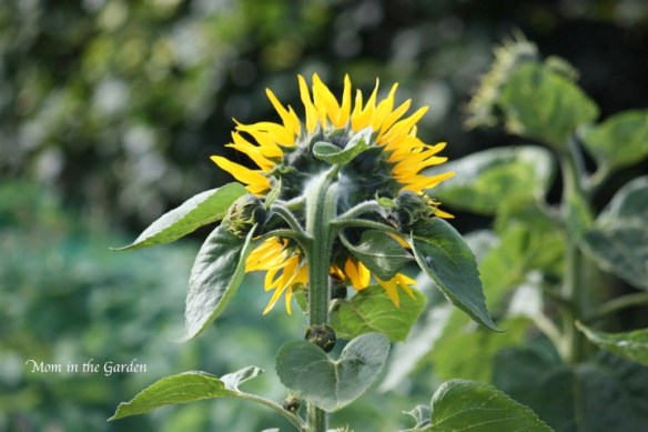 a different perspective