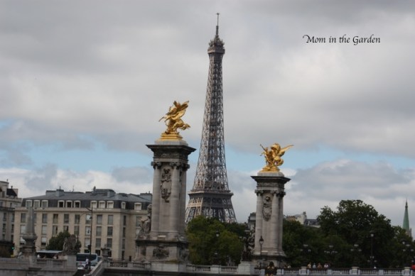 A full view of the Eiffel tower during our boat tour on the Seine