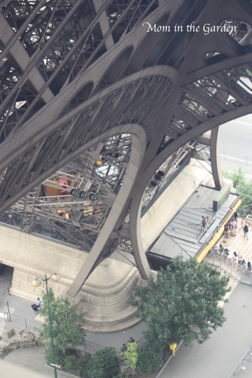 a 'perspective' shot