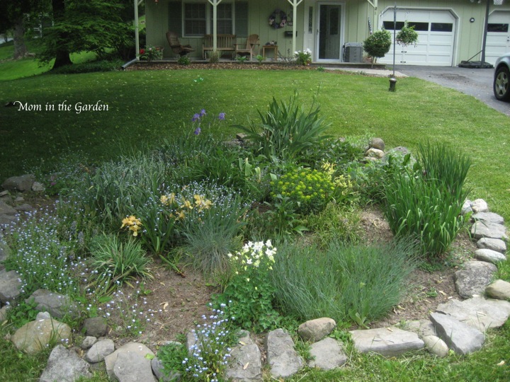 My first garden (spring time)