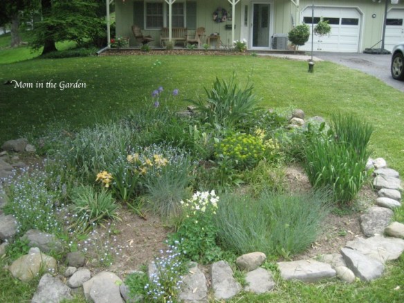 My first garden (spring time)