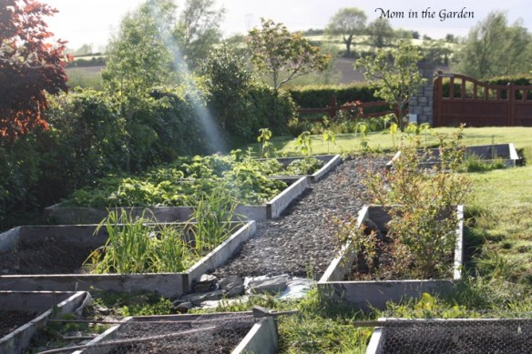 A look down the garden in June