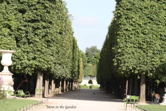 We walked through Place de la Concord early to explore the Louvre.  