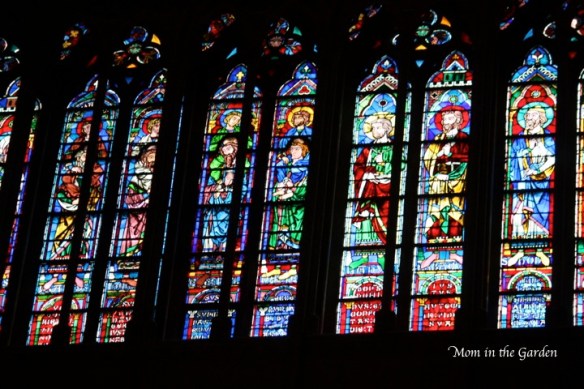 Which window to photograph...