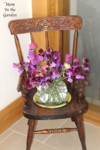 Sweet pea in a vase sitting on my antique potty chair