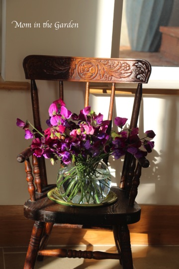 sweetness on the potty chair ;-)