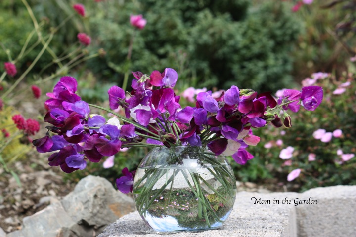 blending well in the garden
