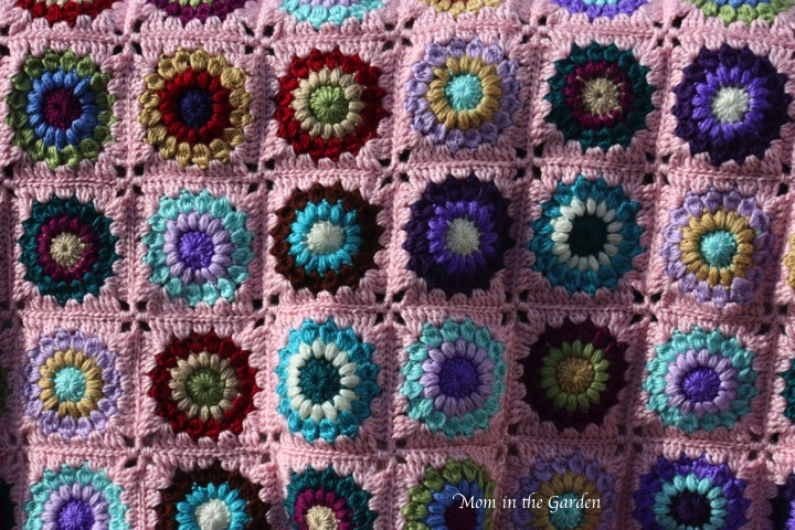 putting them all together