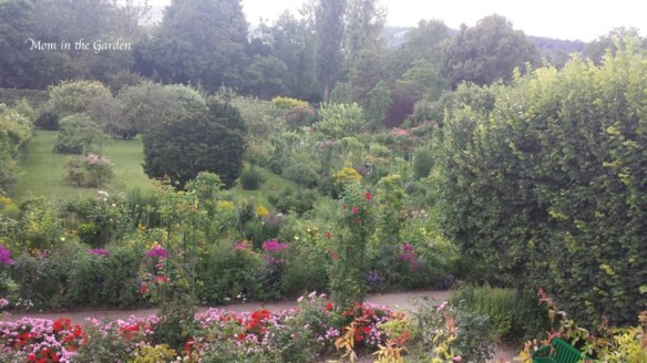 View from upstairs in the house