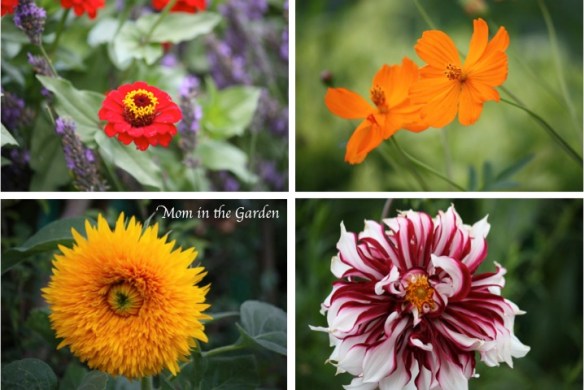 Monets Flowers collage orange reds