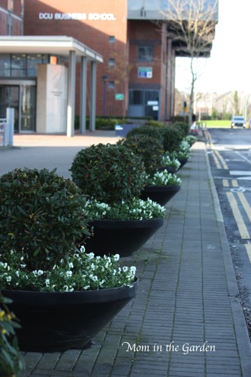 Near the front reception of DCU