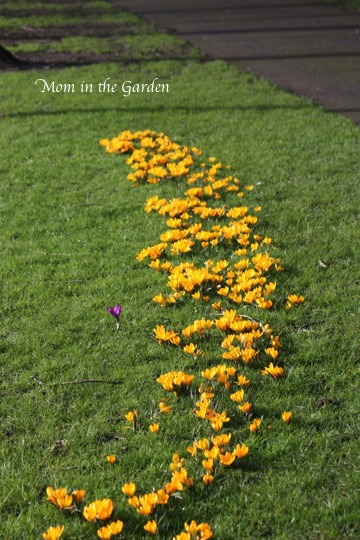 a bit of a curved yellow formation