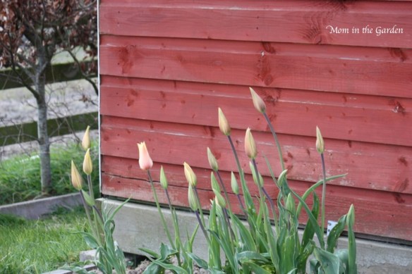 creating a bed just for them