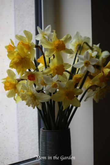 a rather gray day...