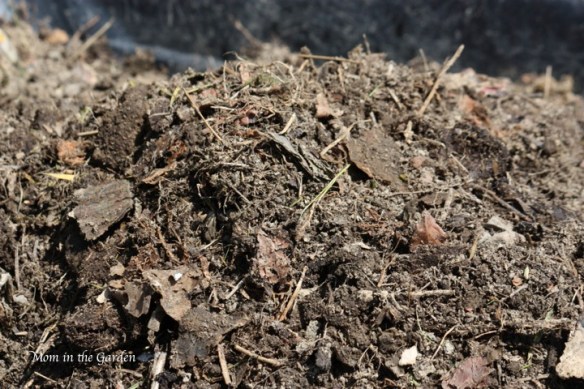Compost looking pretty good