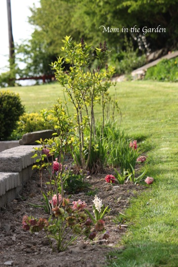 further on in spring