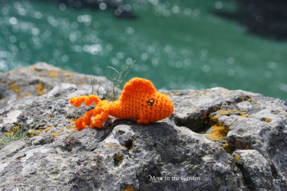 Carrick-a-Rede rope bridge view