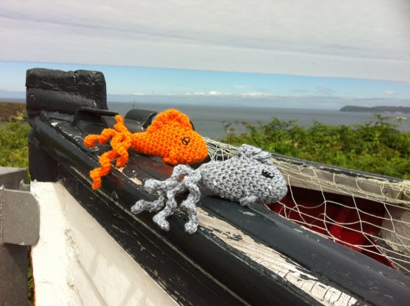 two fish on their travels