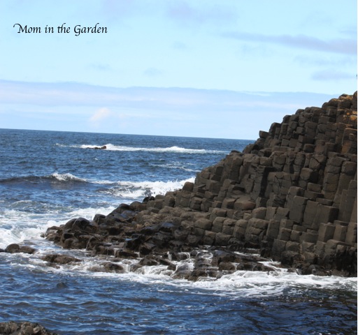 Giant's Causeway
