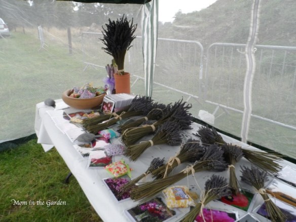 dried lavender bouquets, wands & sachets