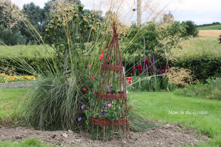 showy from across the garden, too