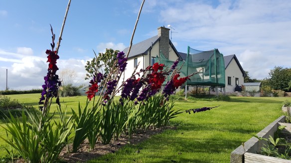 we get a lot of wind!