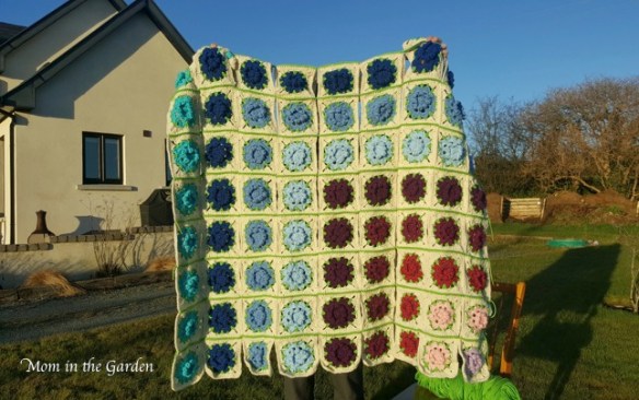 still a work-in-progress here, but with the sunny day I wanted to capture how it was coming along