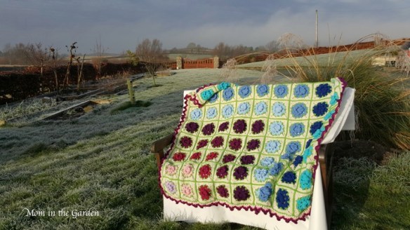 our final ta-dah! with the frosty garden as a back-drop