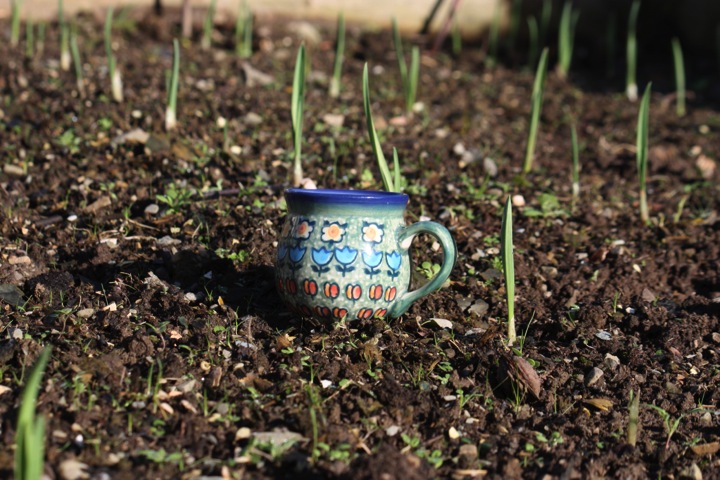 Home grown garlic and Polish Pottery
