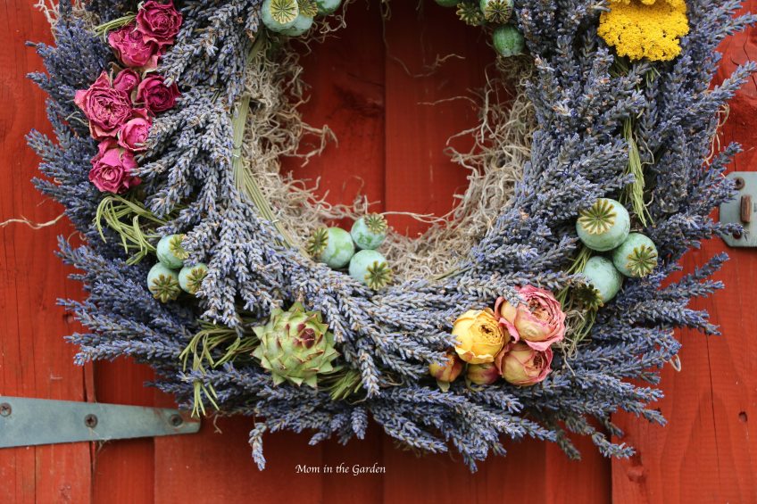 lavender wreath with artichokes, poppies and roses