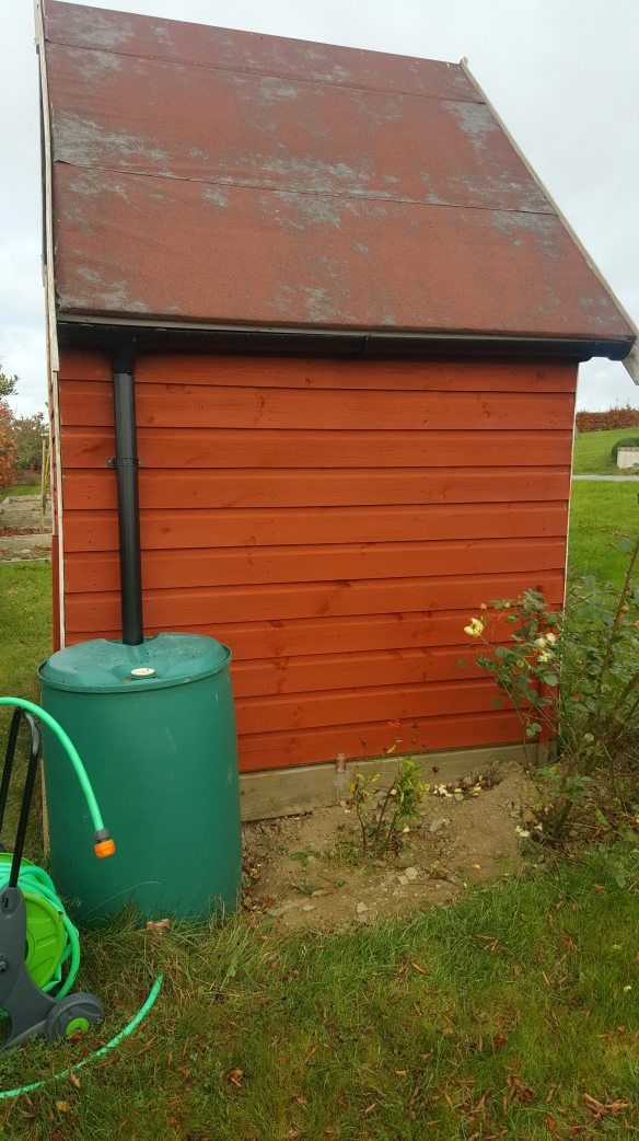 water butt and hose attached to playhouse