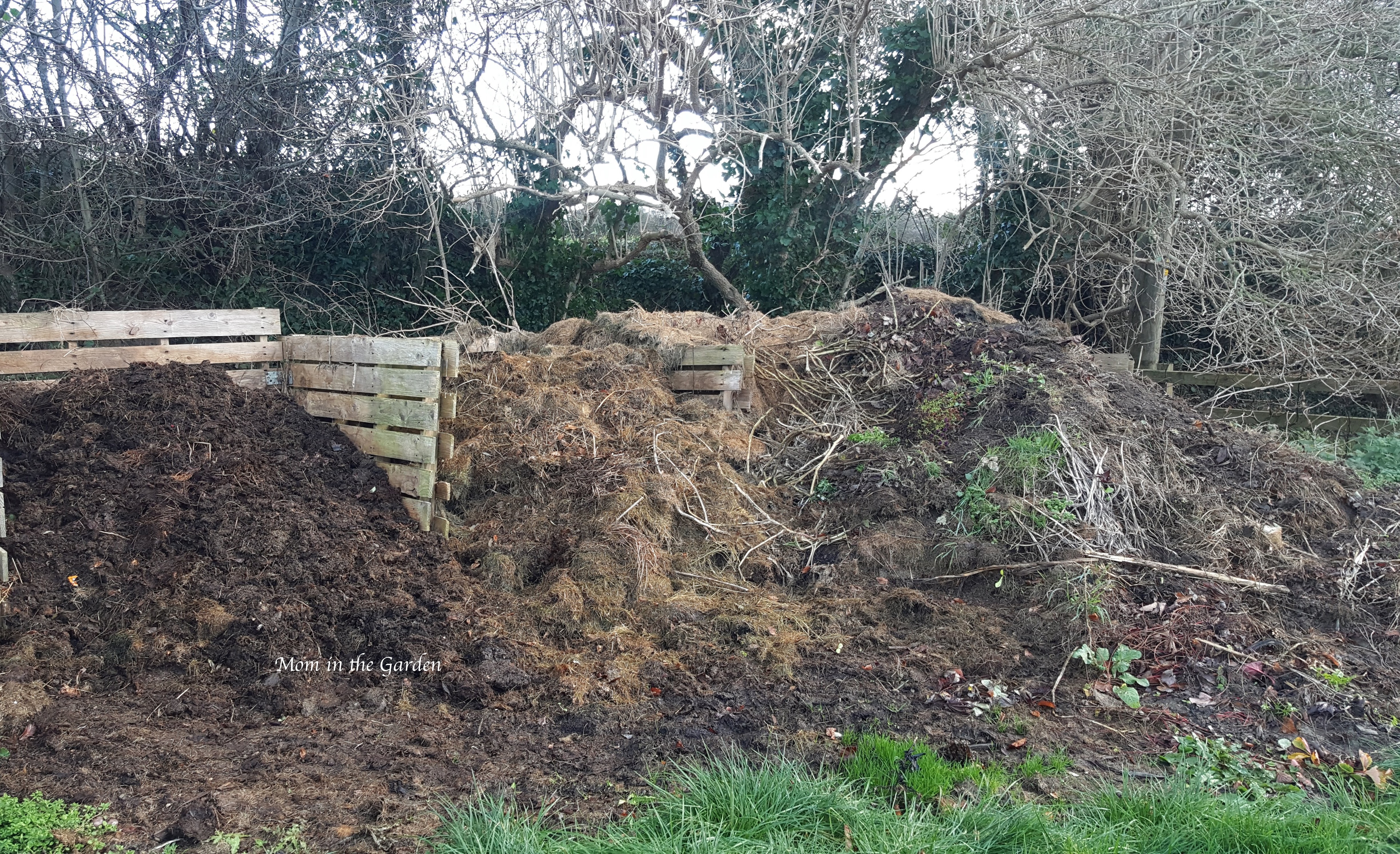 broken down compost and unbroken down compost