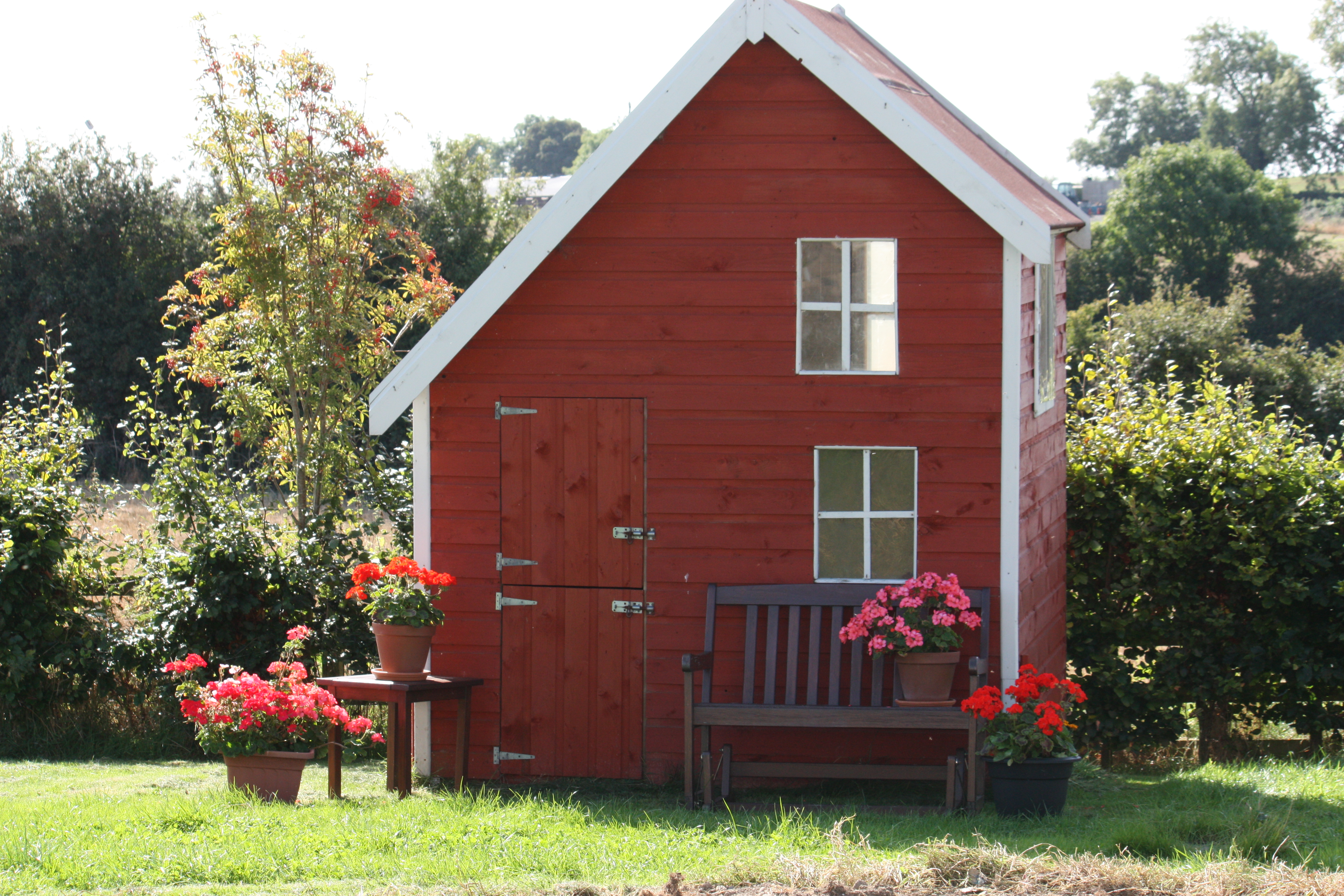 playhouse with geraniums