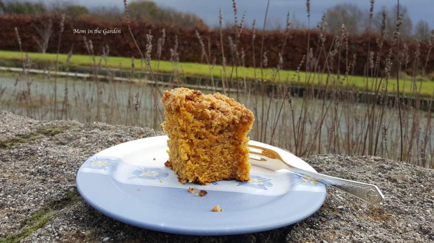 pumpkin cake on a plate