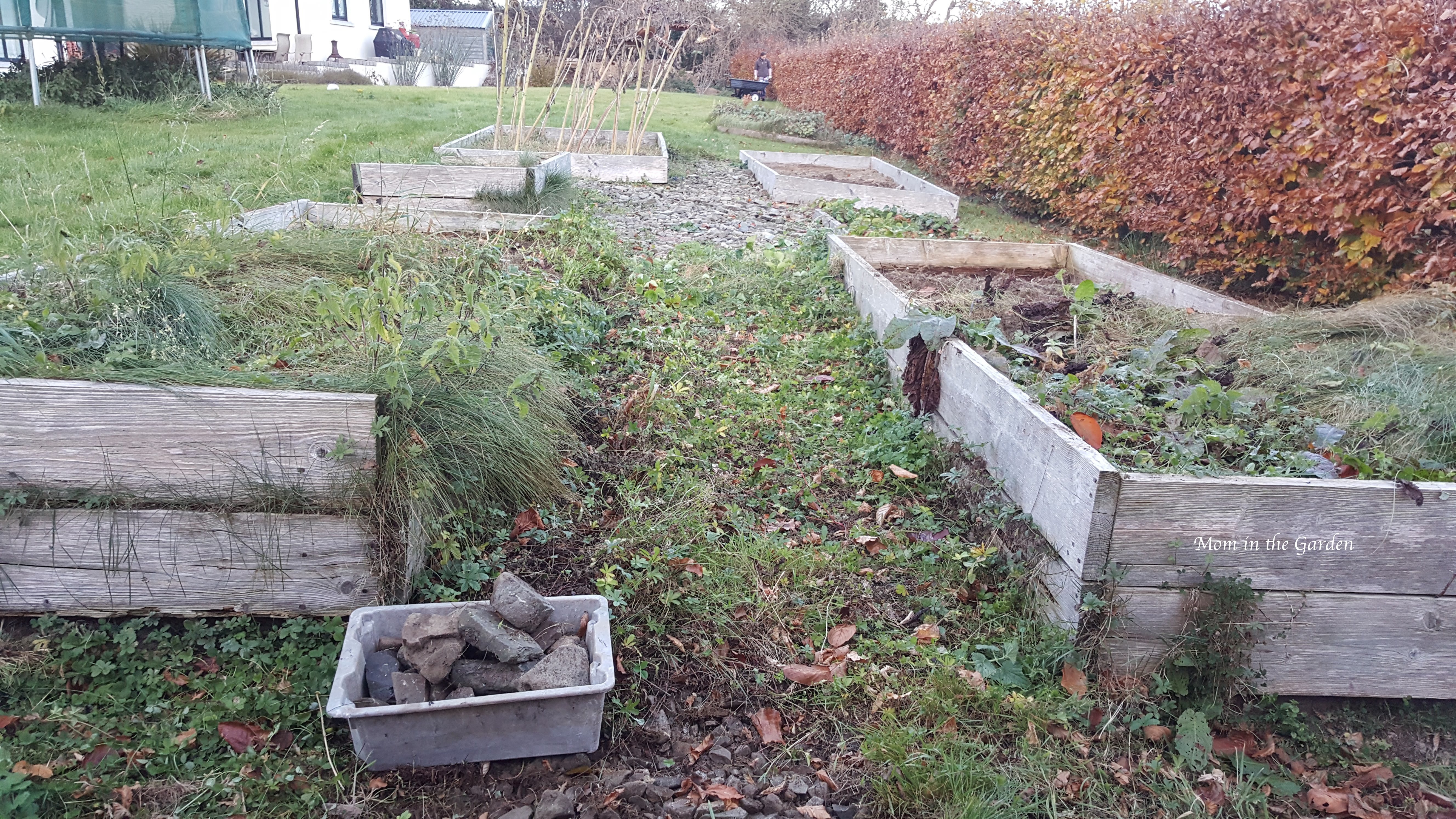 a "before" picture of a messy part of the garden