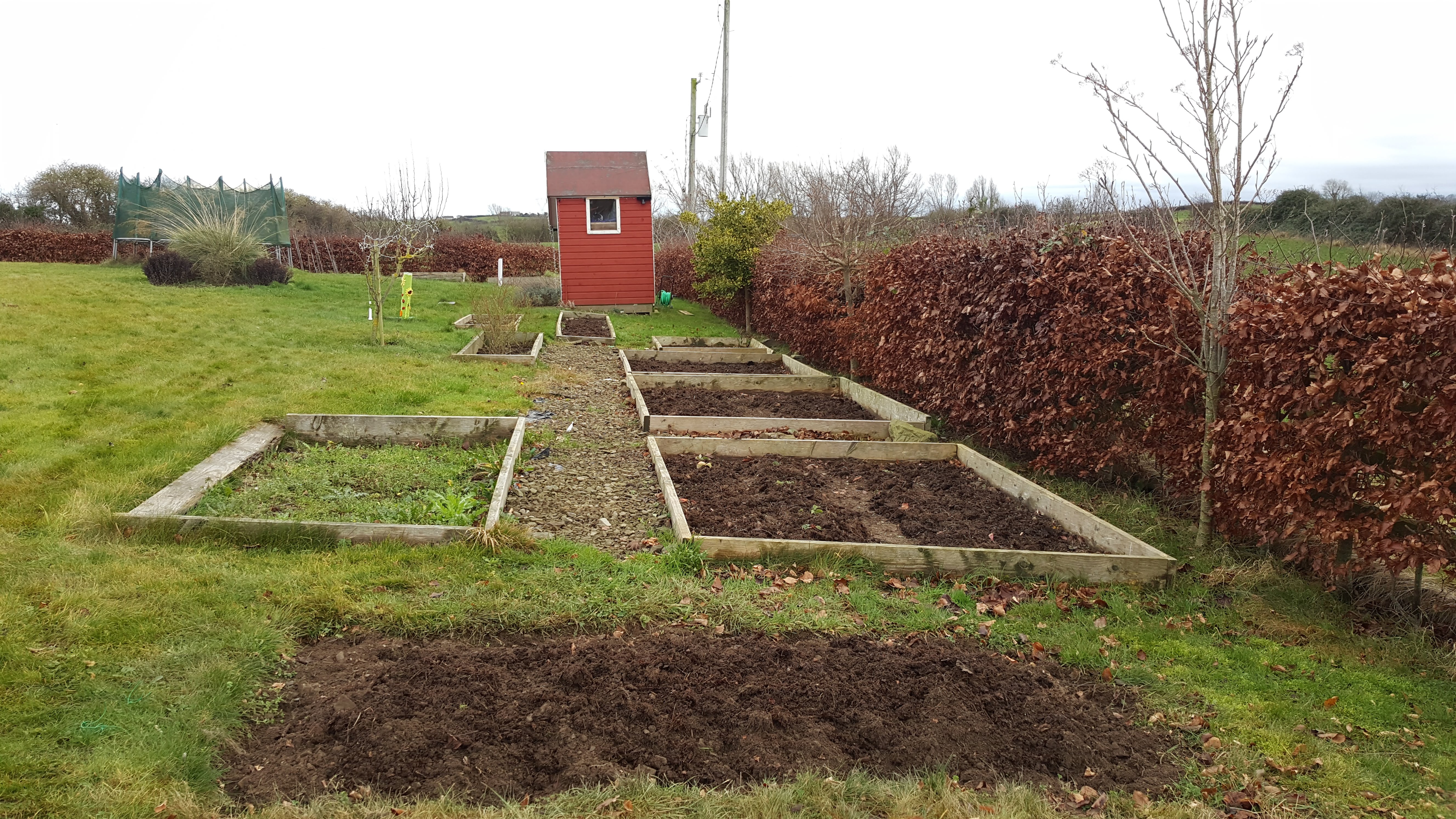 gardening beds weeded and covered in compost