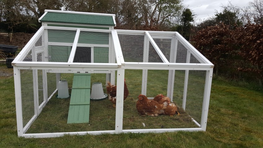 chicken coop outside view