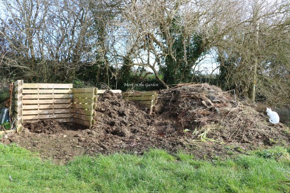compost "heap" March 1