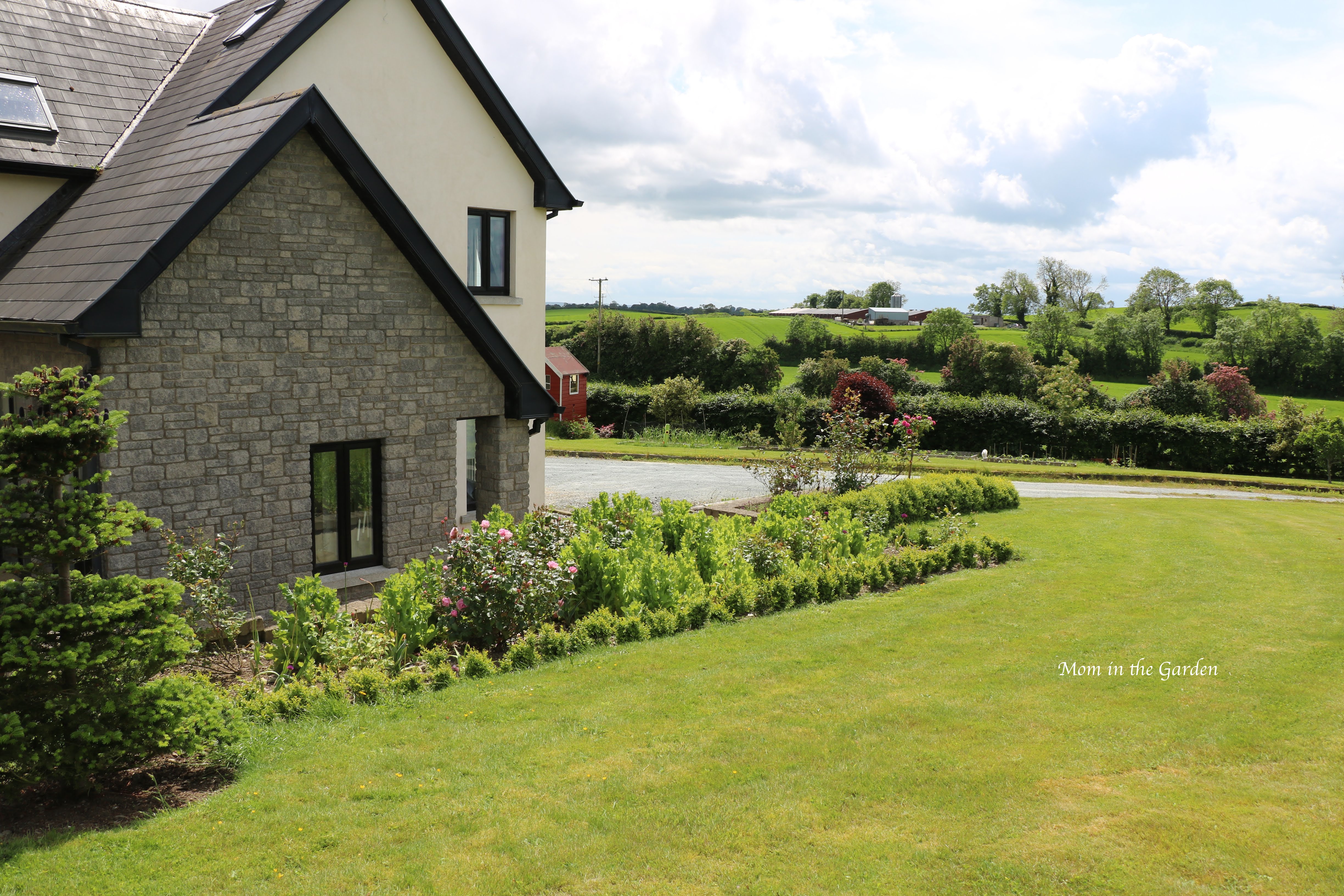a view of the main rose bed 