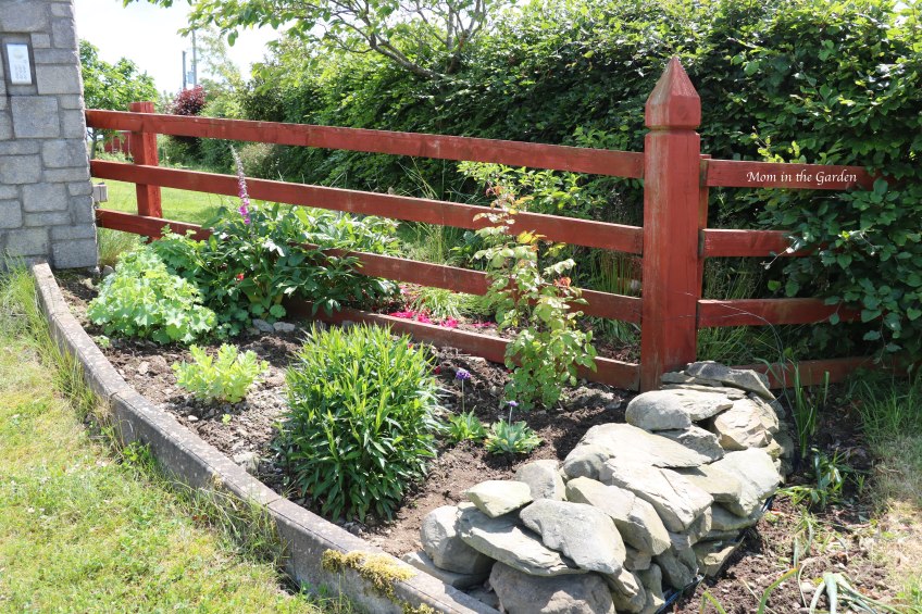 Front gate garden