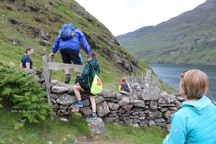 climbing a gate along the path