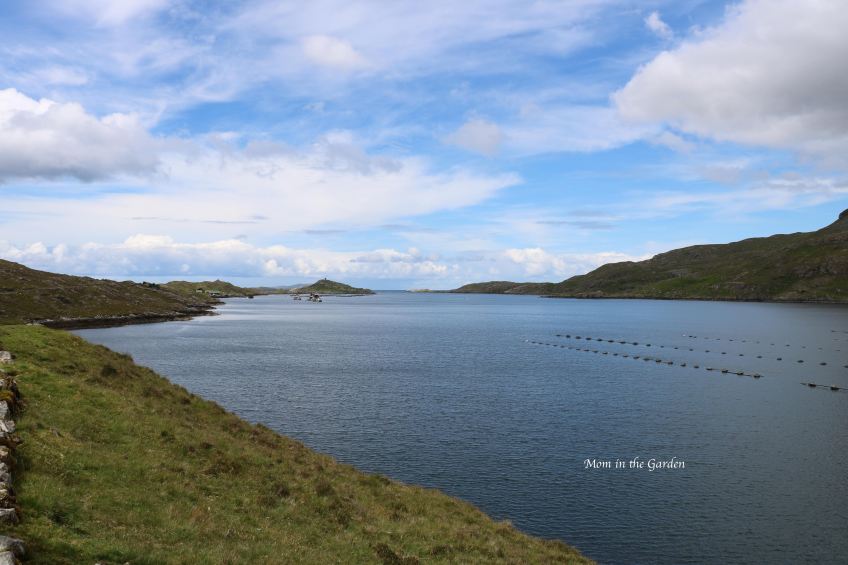 Killary harbour view