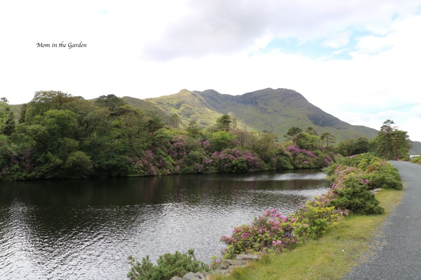 lake and mountain view
