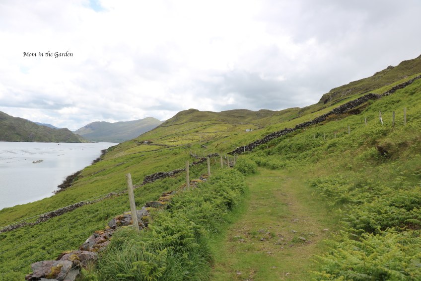 full view of a long stone wall