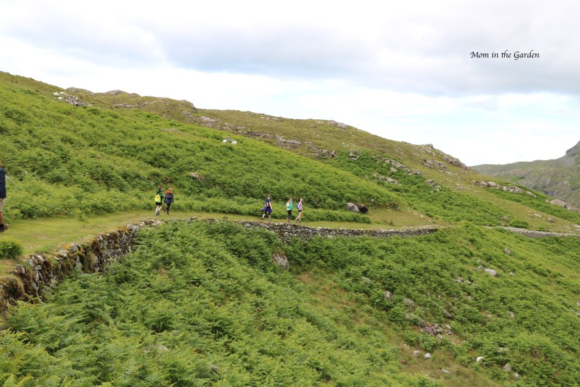 hiking along Killary habour