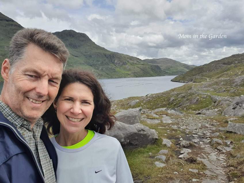 view of Killary harbour